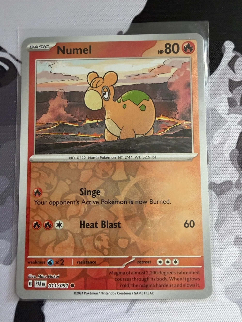 Numel & Camerupt Pokémon Evolution Card Lot 🌋 Reverse Holo | 3 Cards ✨5/$25✨
